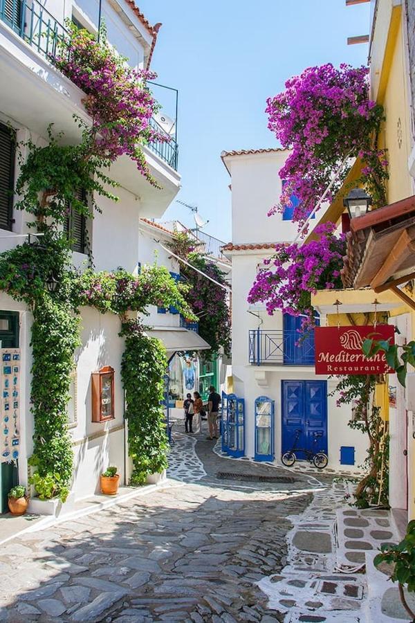 Mikri Gonia Villa Skiathos Town Luaran gambar